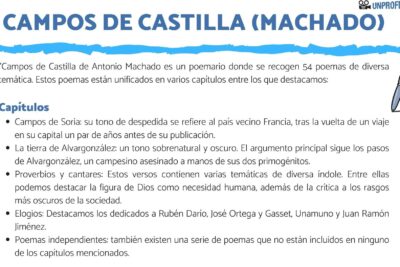 analisis detallado de la estructura y composicion literaria