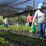 como se representaban las esperanzas de un futuro mejor