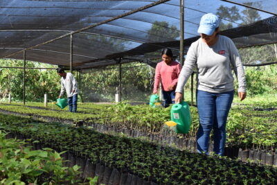 como se representaban las esperanzas de un futuro mejor