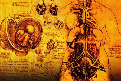 conexiones entre tipografia e ilustracion en el teatro