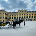 eventos importantes en el teatro de viena resumen destacado