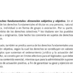 que es la actuacion subjetiva y como se presenta