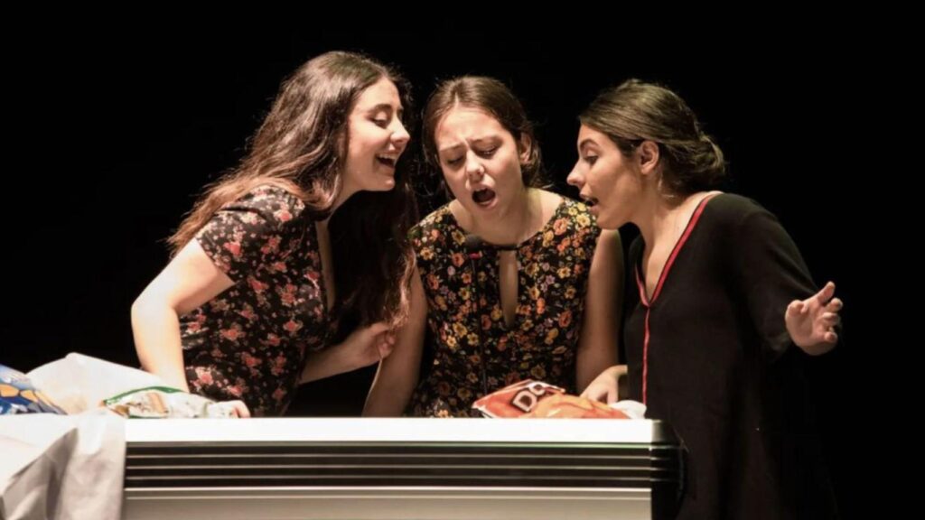 que importancia tenia el publico en el teatro barroco