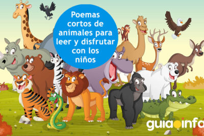teatro y derechos de los animales una conexion analizada